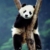 Zdjęcie profilowe ^Panda^