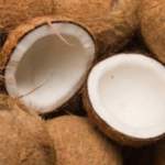 Zdjęcie profilowe coconut