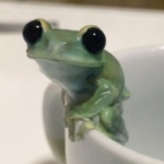 _green_frog_