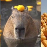 Zdjęcie profilowe Capybara 2030