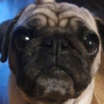 Zdjęcie profilowe Maks34